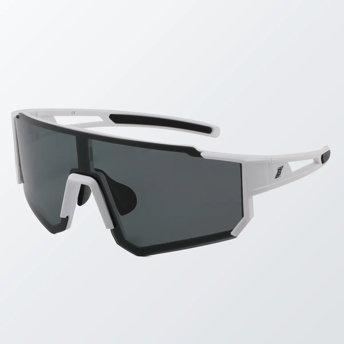 BG25 ® POLARIZED SMOKE